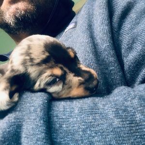 Meet your Posher, Wesley